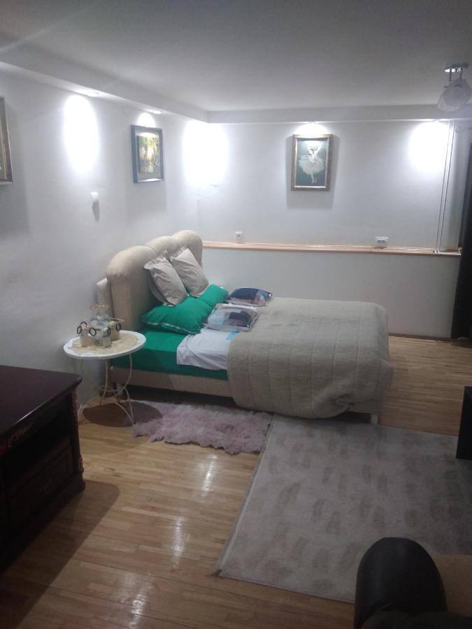 Goksi Apartment Subotica Buitenkant foto